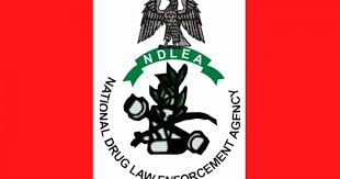 ndlea